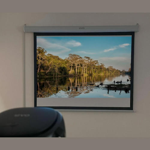 Telon Eléctrico con Control
